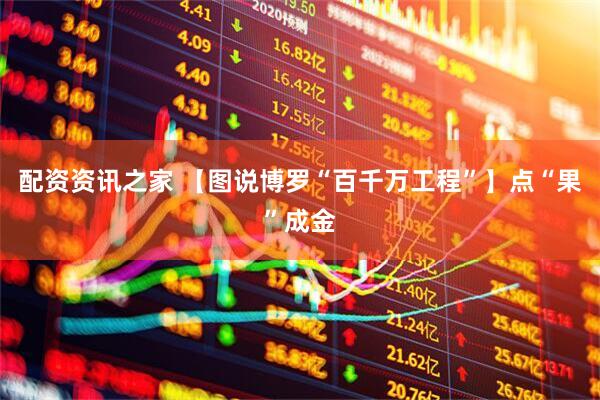 配资资讯之家 【图说博罗“百千万工程”】点“果”成金