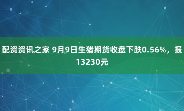 配资资讯之家 9月9日生猪期货收盘下跌0.56%，报13230元