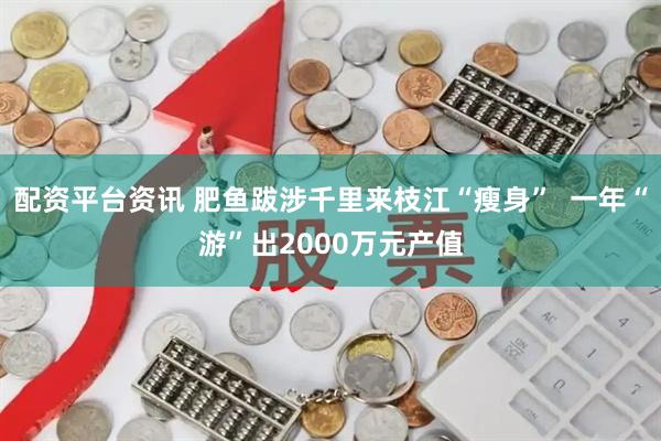 配资平台资讯 肥鱼跋涉千里来枝江“瘦身”  一年“游”出2000万元产值